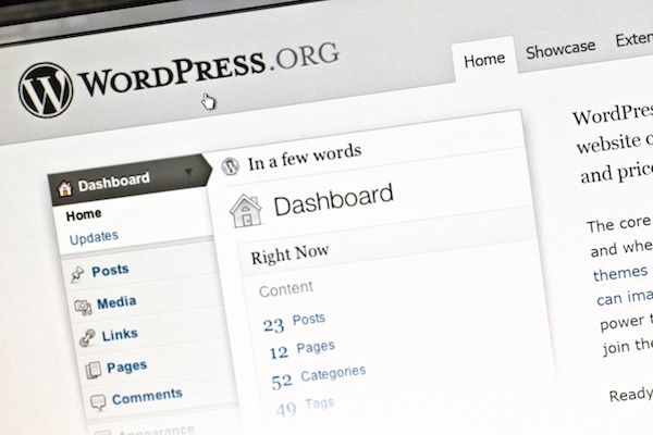 Wordpress_Wesbite_development